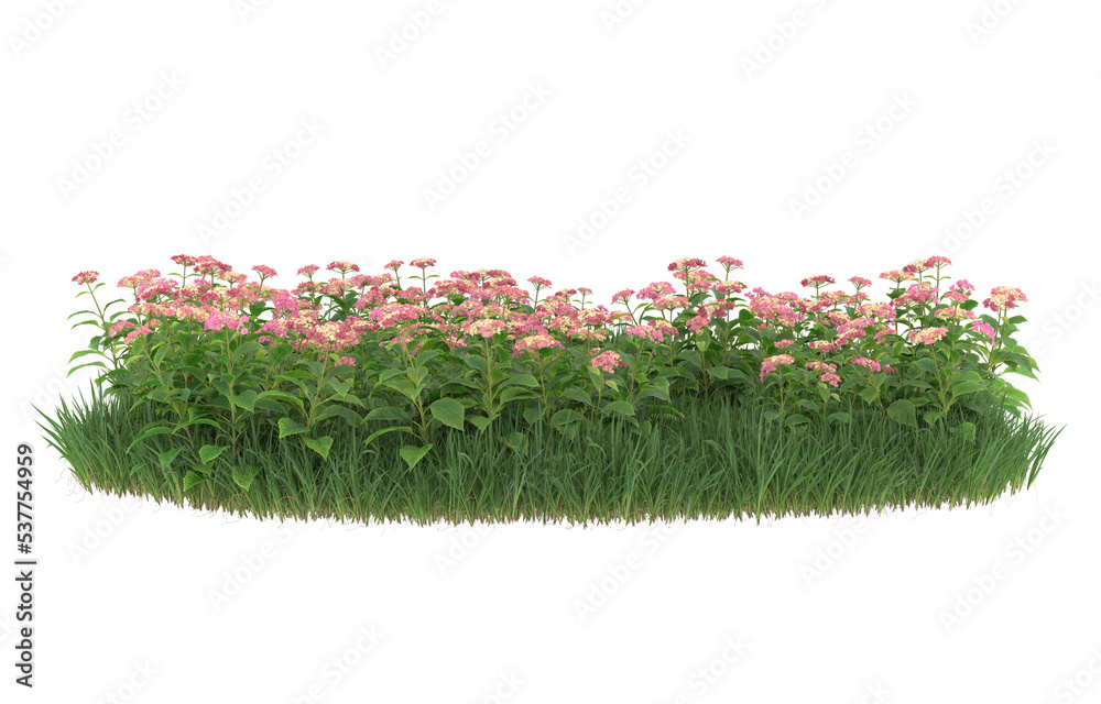 背景上隔离的草和花，带面具。三维渲染-插图