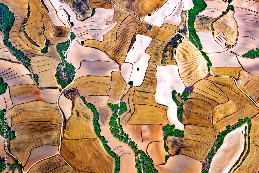 Vista aérea de los campos de cereales cultivados y segados. fotografía aérea trigo y agrícola.