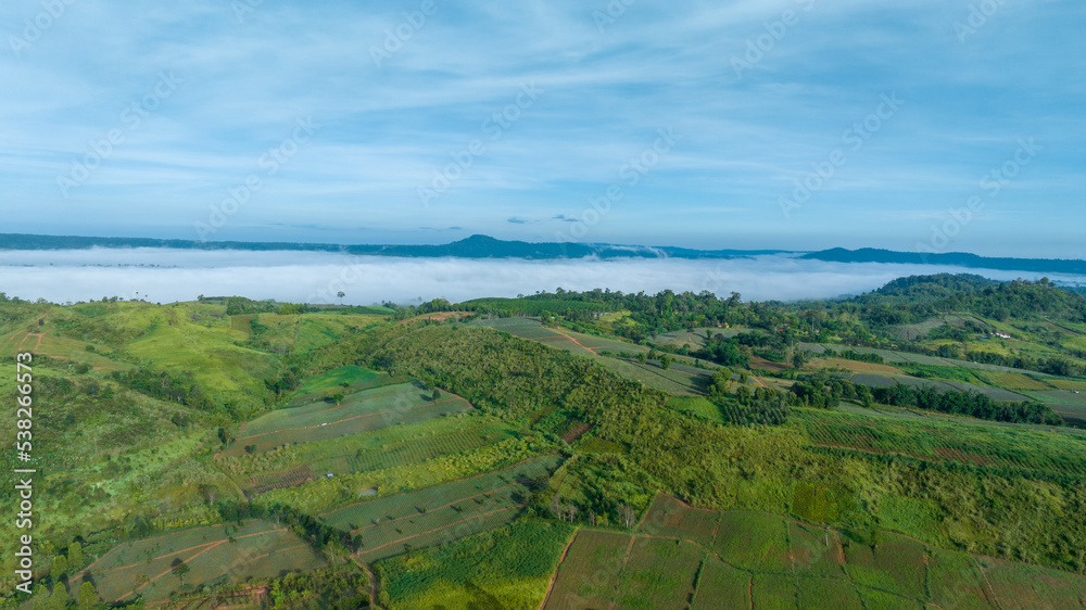 泰国Phetchabun美丽秋天的雾山。雾山山谷，低云，森林