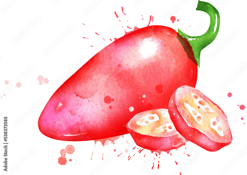 红色墨西哥胡椒的水彩插图