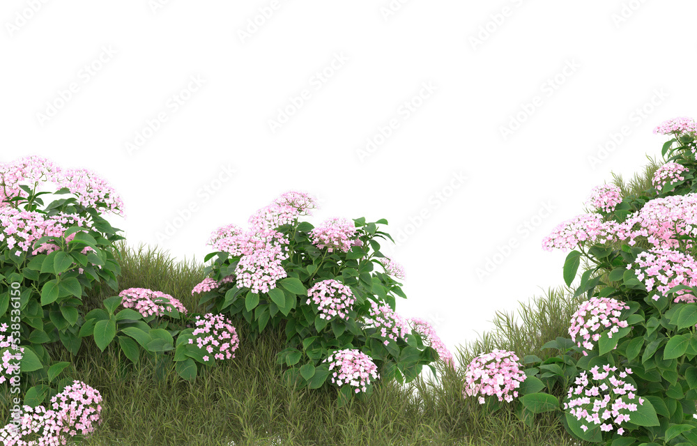 透明背景上有花的草地。三维渲染-插图