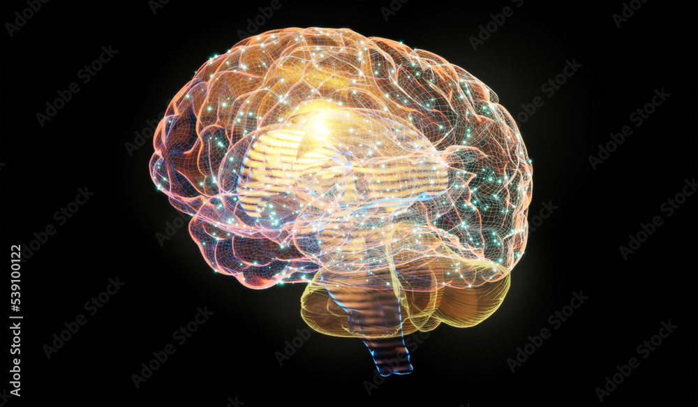 黑色背景下线框数字人脑的3d插图。智力、头脑风暴和N