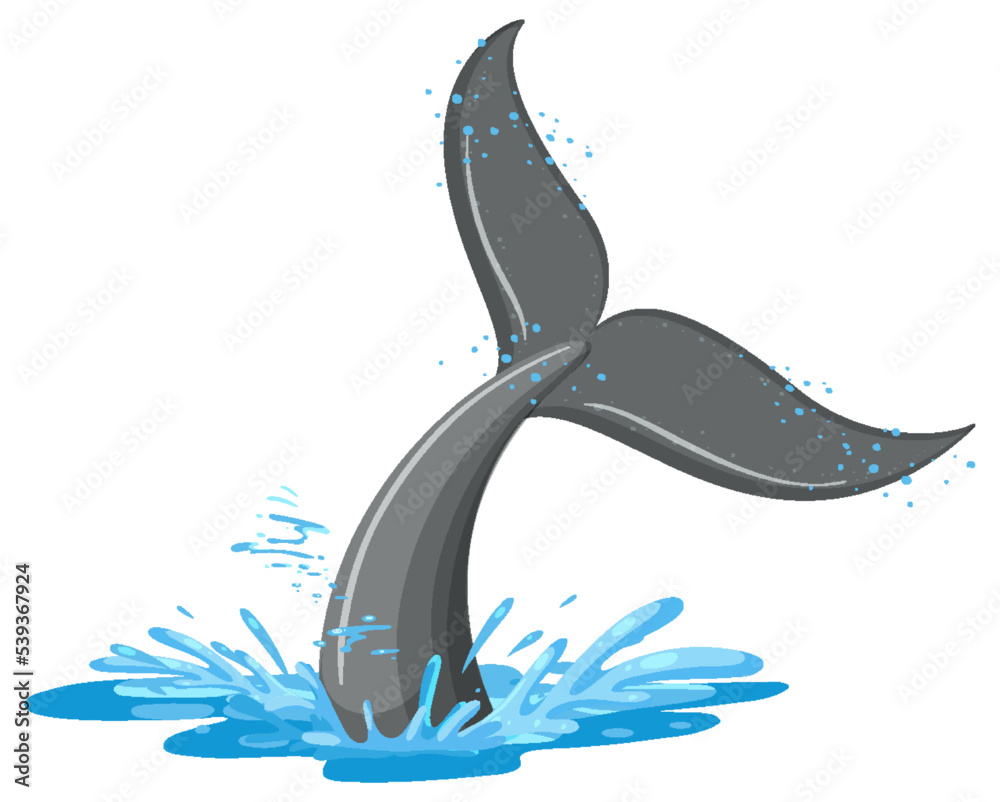 水中的鲸鱼尾巴