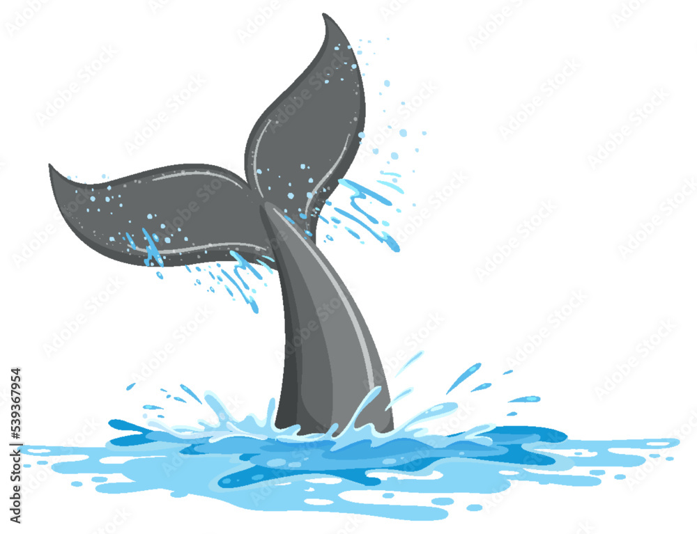 水中鲸鱼的尾巴