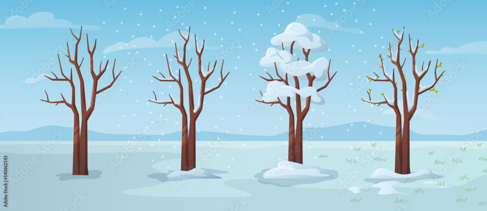 冬季和霜冻期间的树木。被雪、寒冷和降雪覆盖的植物和草地，bliz