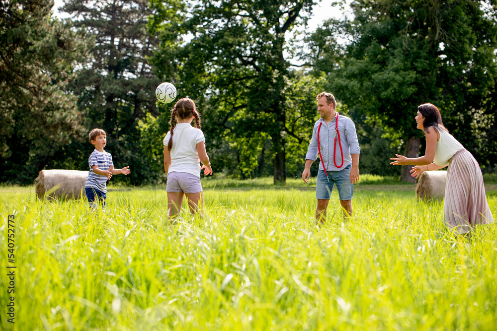 幸福的一家人在公园里的绿草上打球