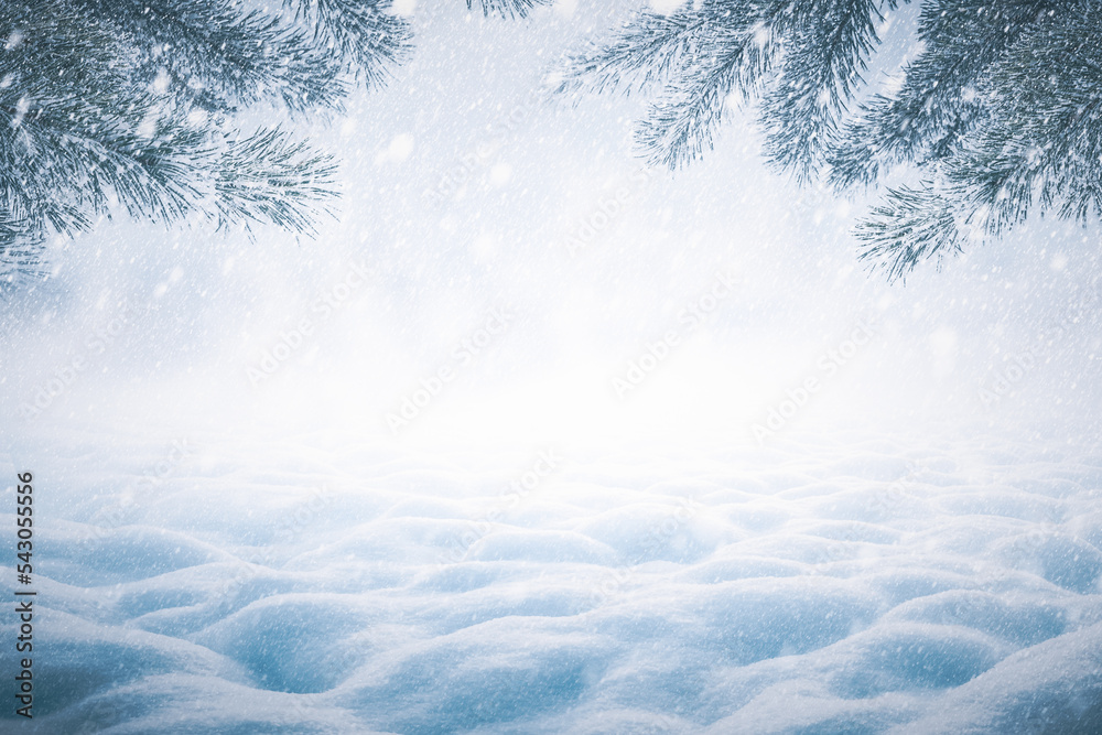 冬天的圣诞节背景，白雪皑皑的松枝和雪堆