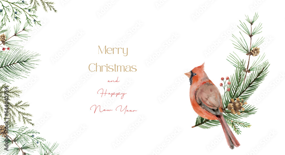 水彩矢量圣诞卡，上面有红雀、冷杉树枝和文字。