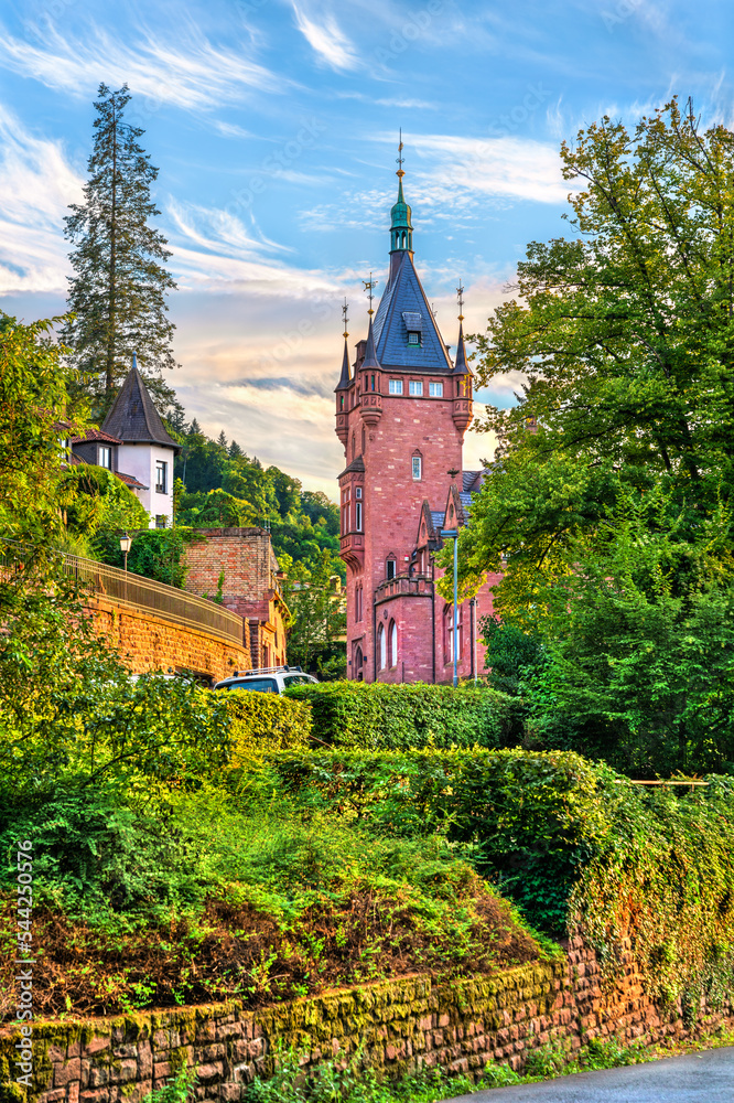日落时海德堡的传统城堡-德国巴登符腾堡
