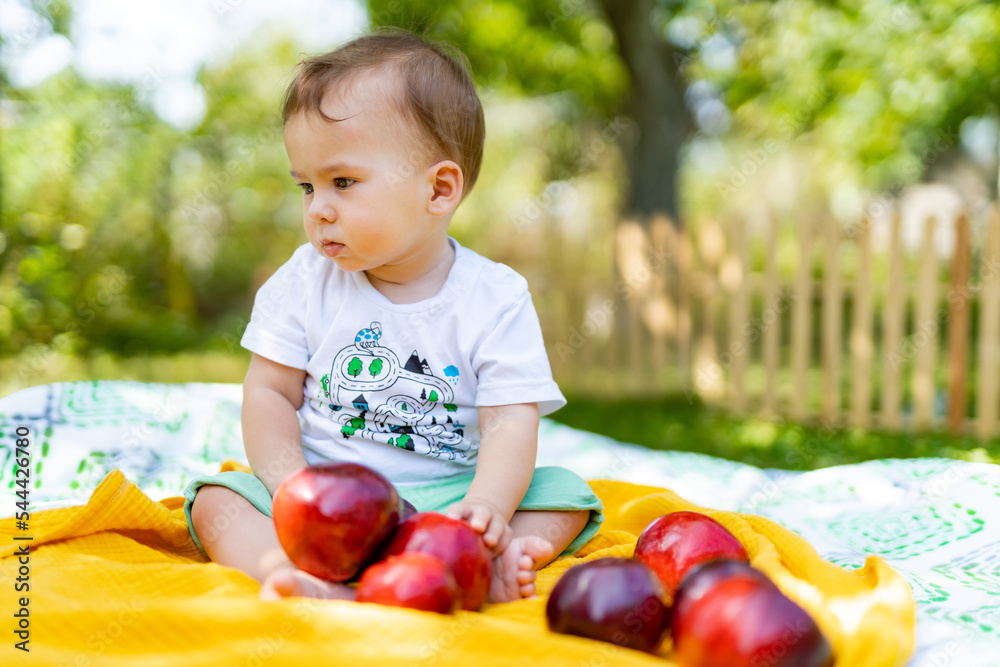 Happy cute child in the garden. Cute little newborn baby sitting with apples.