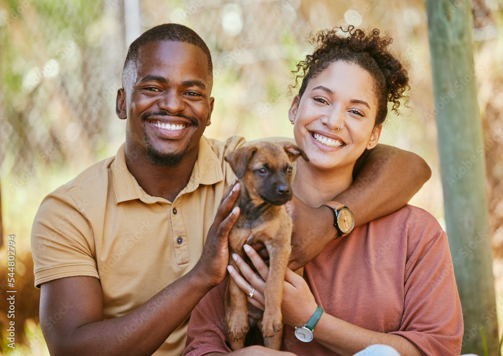 爱、肖像和一对黑人夫妇在动物收容所与狗在犬舍收养。支持、照顾或