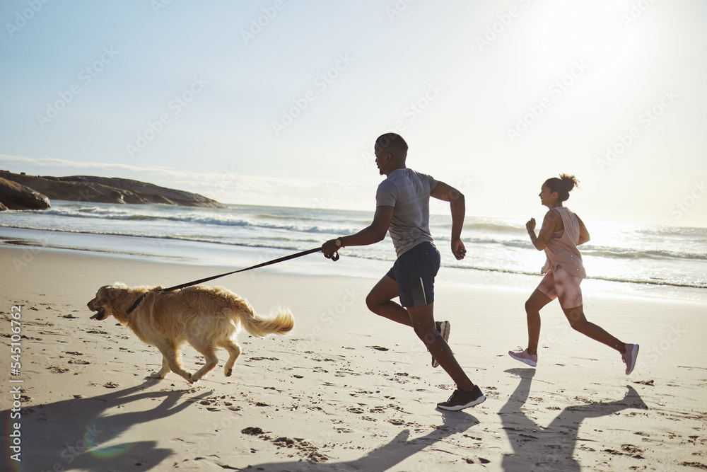 情侣、健身或与狗在海滩上跑步锻炼、在水波、海洋或
1760854992,印度Paneer Curry Roti Chapatti高角度餐桌上盘子里的食物白色背景