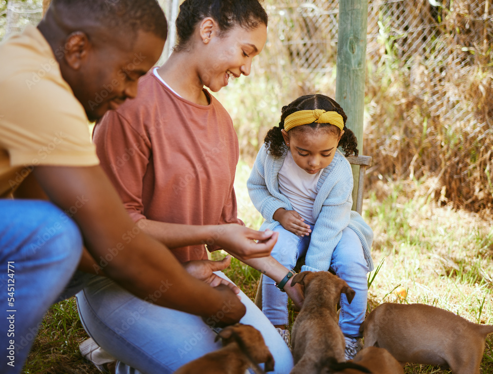 黑人家庭，母亲和父亲带着孩子，小狗，一起在户外玩耍。非裔美国人p