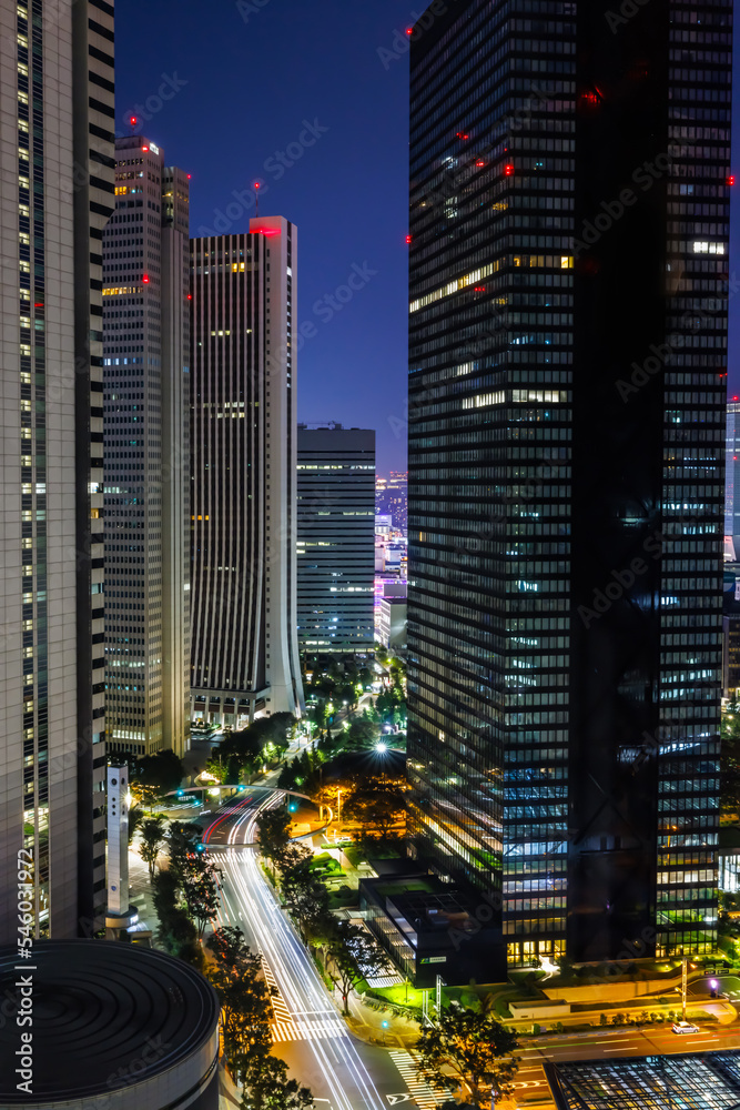Skyscrapers towering above the cityscape of Nishi-Shinjuku, Tokyo, Japan at night
