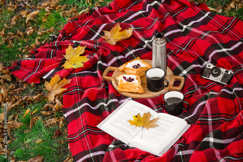 公园里的格子布上有杯子、食物、书籍、相机和秋叶的保温瓶