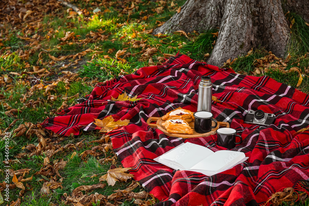 公园里的格子布上有杯子、食物、书籍、相机和秋叶的保温瓶