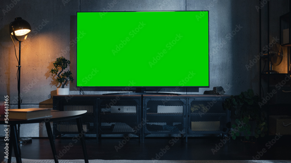 时尚阁楼公寓内部，配有电视机，电视上有绿屏实体显示屏