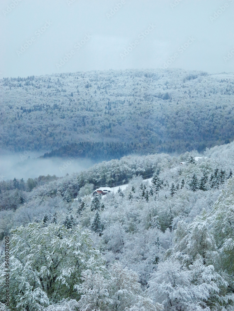 冬季降雪后被雪覆盖的丘陵景观的田园风光