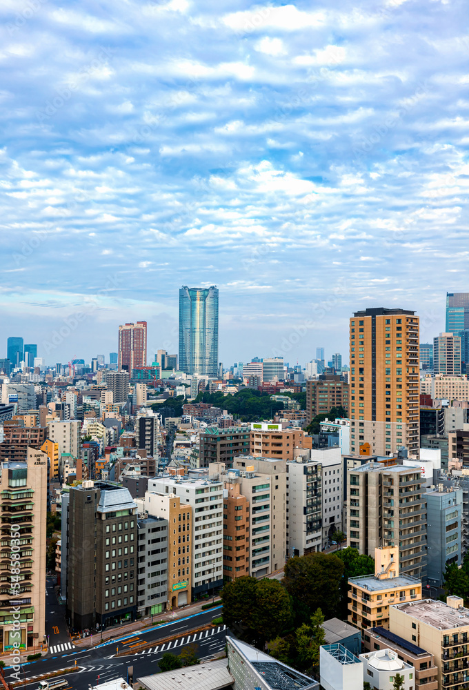 日本东京都南部的摩天大楼和高速公路
