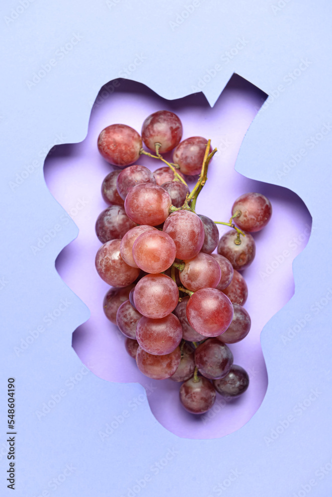 彩色背景上的葡萄构图