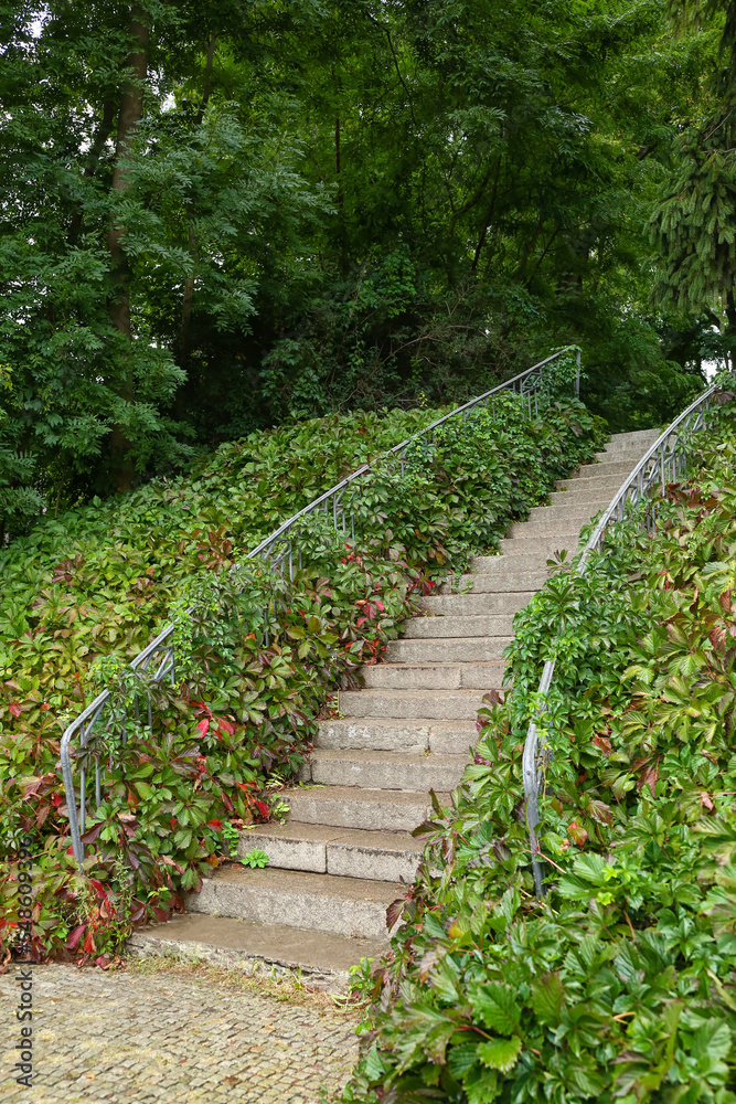 公园里的楼梯和绿色灌木景观