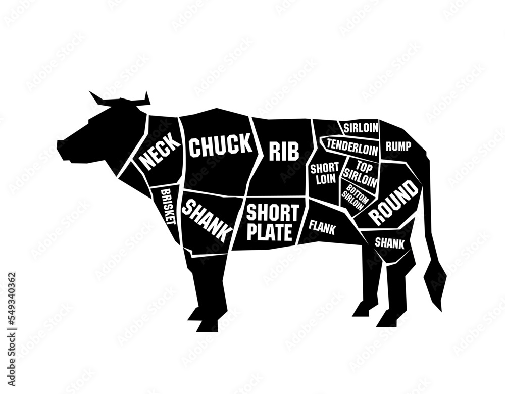 屠夫指南：牛肉切割方案。白色背景下的公牛插图