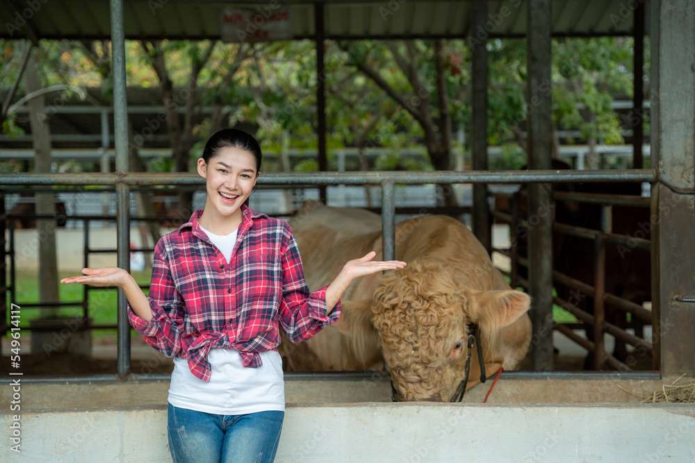 牛棚内奶牛场上的亚洲农民邀请手势，农业，人和动物，农业