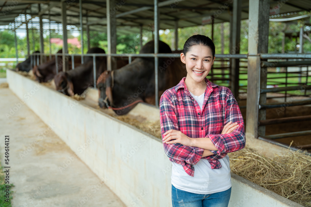 亚洲农民在牛棚内的奶牛场上开心地摆姿势，农业、人和动物，农业