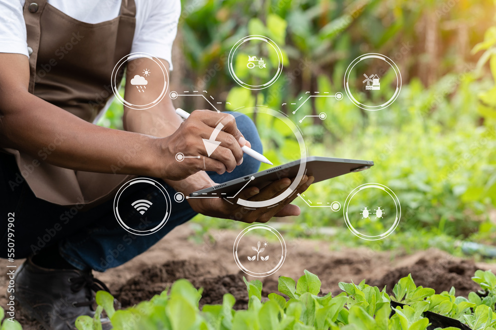 Smart farmer using application by smartphone concepts modern agricultural technology and visual icon