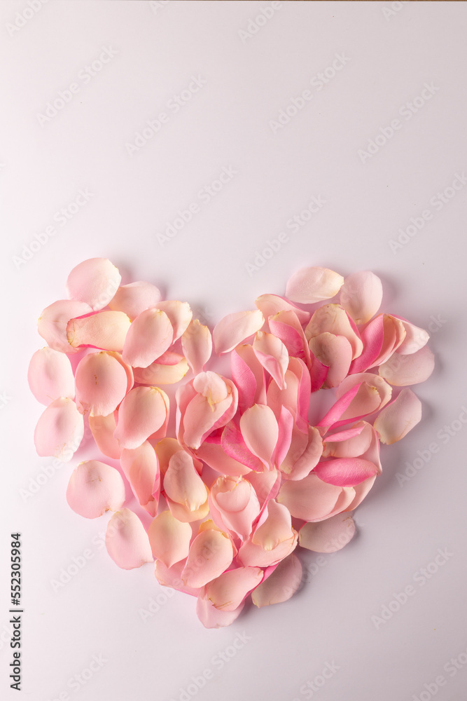 白色背景下心形粉色玫瑰花瓣的垂直俯视图，带复制空间