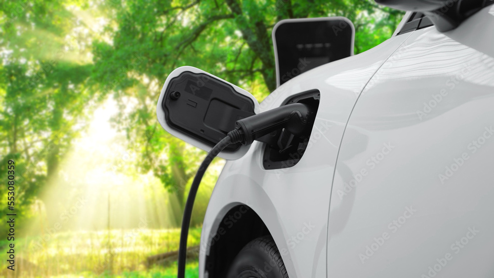 提高可再生能源和氯动力电动汽车环保意识的进步运动