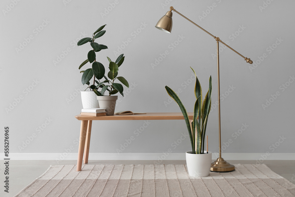 Bench with houseplants, books and lamp near light wall