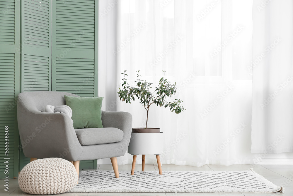 带橄榄树、扶手椅和沙发的现代客厅内部