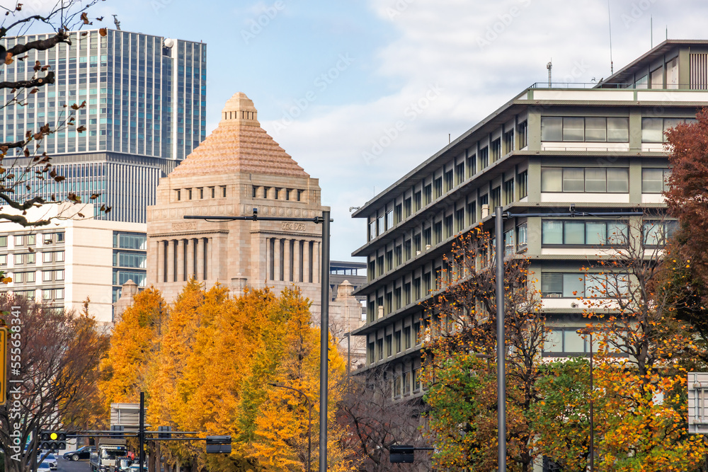 東京のビル群と紅葉した木