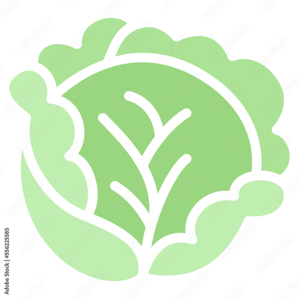 卷心菜叶子有机图标徽标。蔬菜和水果符号插图矢量