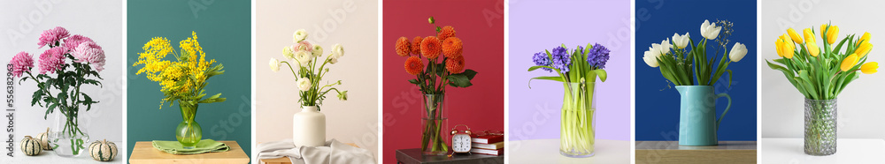 桌上有漂亮花朵的时尚花瓶拼贴在彩色墙上