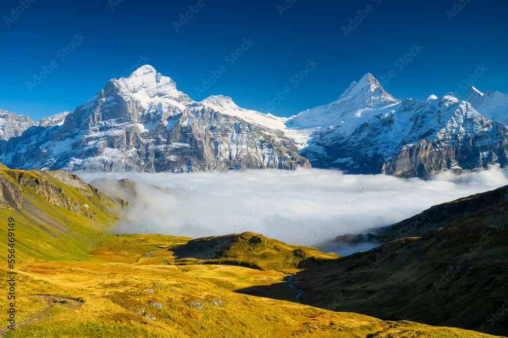 Mountains peaks and clouds in the valley. Natural landscape. Mountain range through the clouds. Land