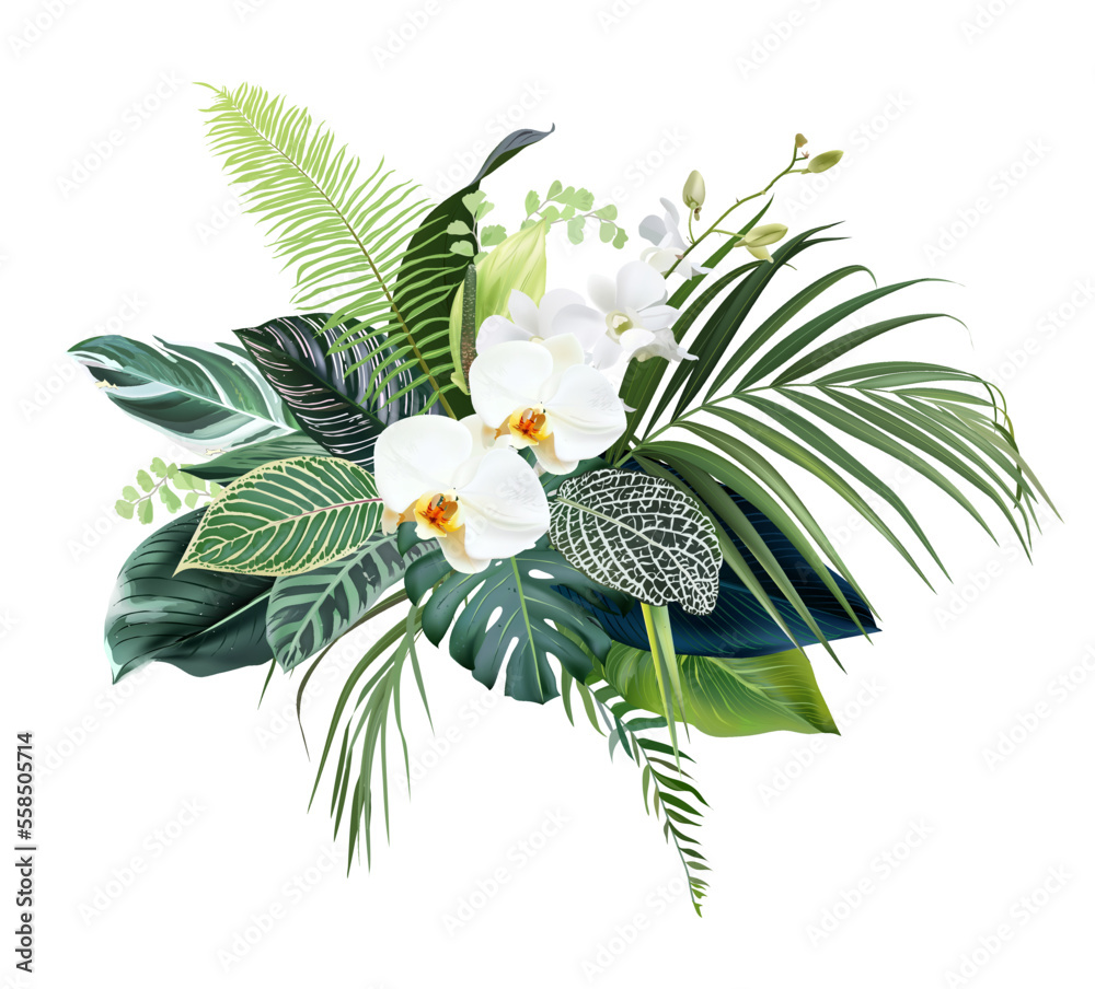 热带森林花和叶矢量设计花束。白色兰花，梦蝶，绿色花托