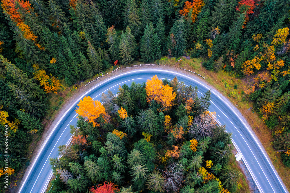 秋天森林中山路的无人机视图。