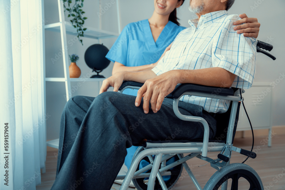 关爱的护士和一个坐在疗养院轮椅上的满足的老人。老年人的医疗