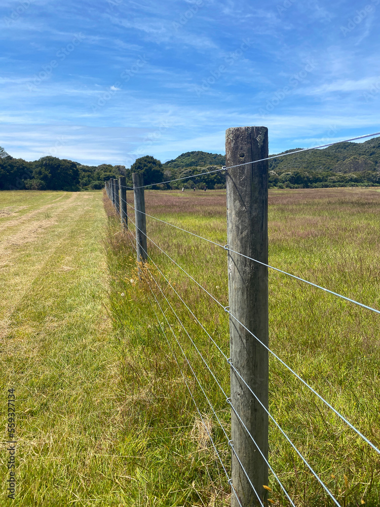 A wire fence with wooden posts on a farm in New Zealand