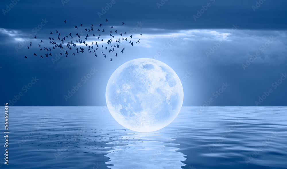 Fantasy landscape -Silhouette of birds flying over Full Moon on the sea coast with blue sea Elements