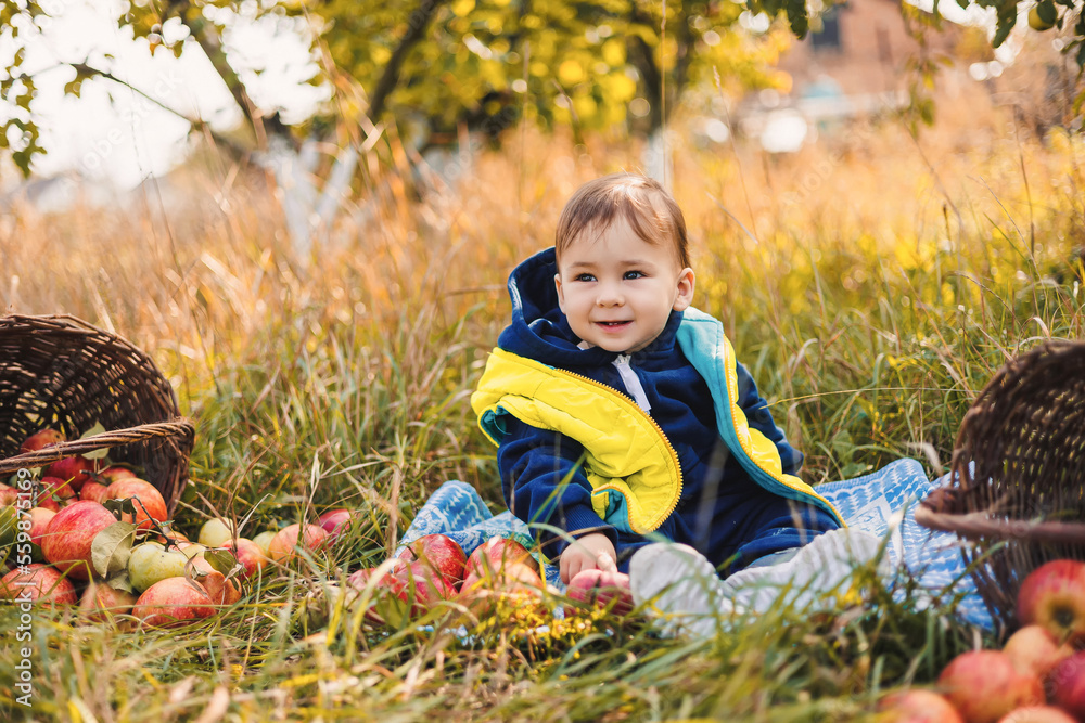 孩子们在农场摘苹果。苹果园对孩子们来说很有趣。孩子们在秋天的花园里摘水果。