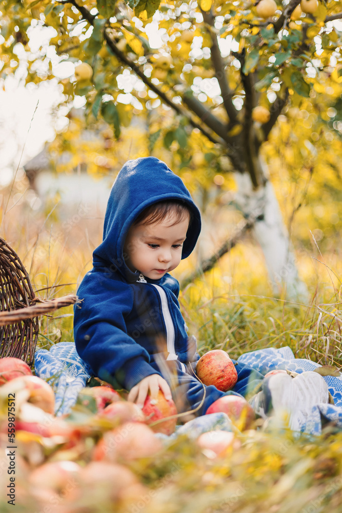 孩子们在农场摘苹果。苹果园给孩子们带来乐趣。孩子们吃水果。秋季户外活动