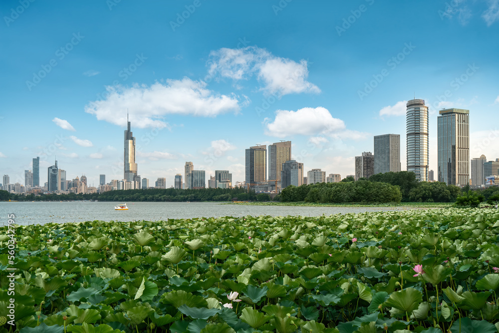 南京玄武湖畔城市景观