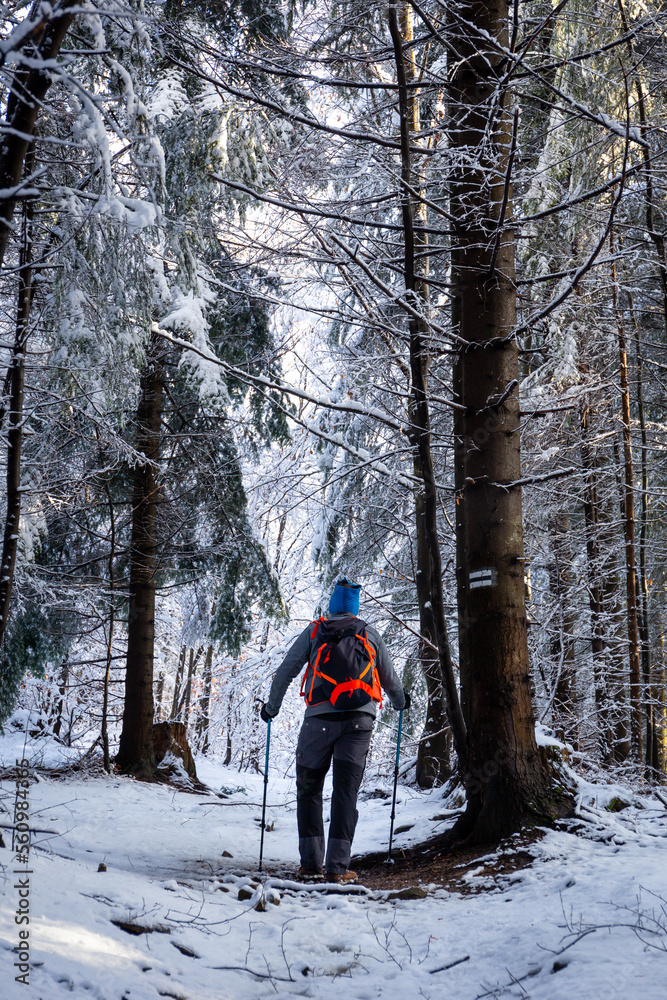 波兰冬季，背着背包的男子在别斯基德山脉的雪地森林徒步旅行，黑色痕迹