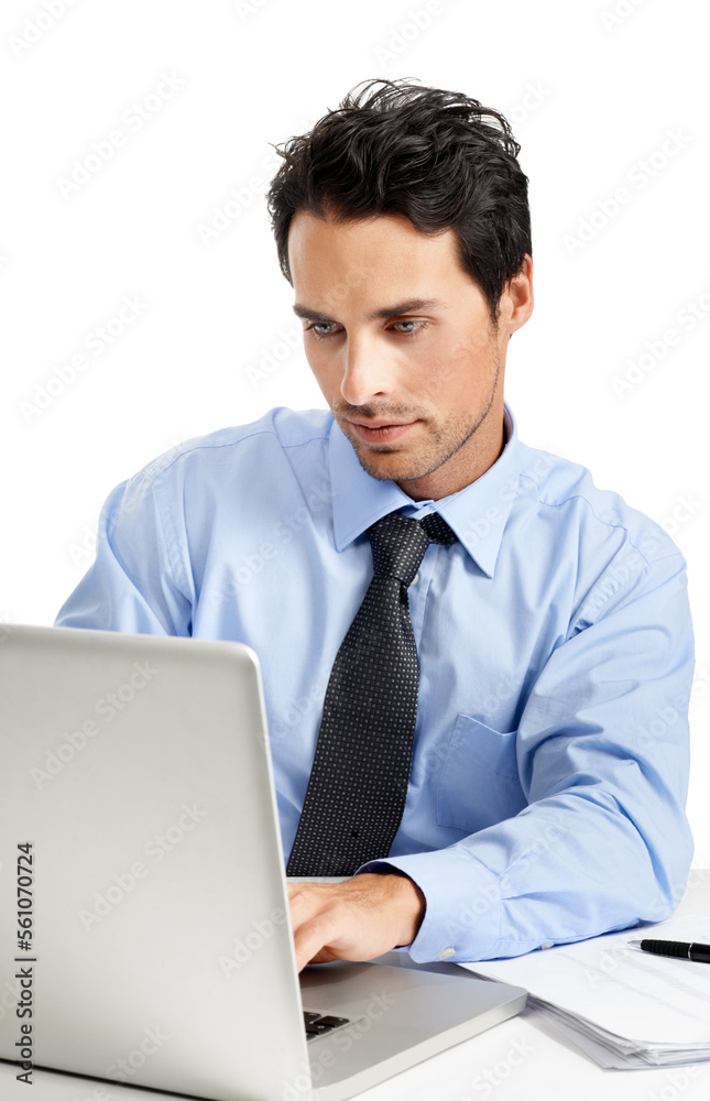 Laptop, documents business man typing feedback review of financial portfolio, stock market database 