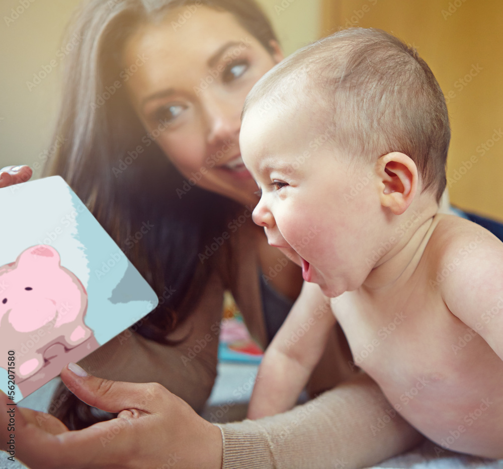 Mother, baby and family for learning, development and pig picture book for fun education and growth.