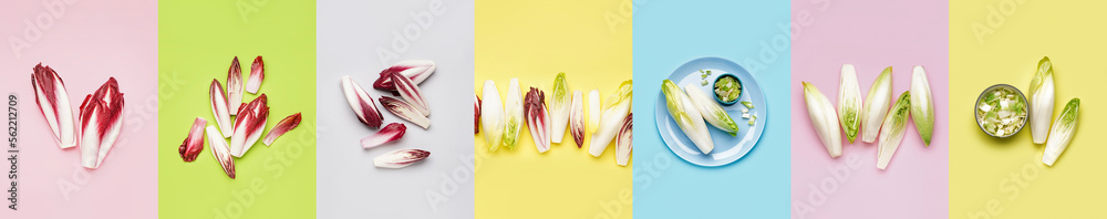 Collage of fresh chicory salads on color background