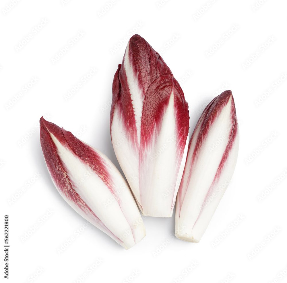 白色背景上的新鲜红菊苣束